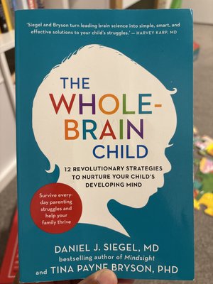 The Whole Brain Child